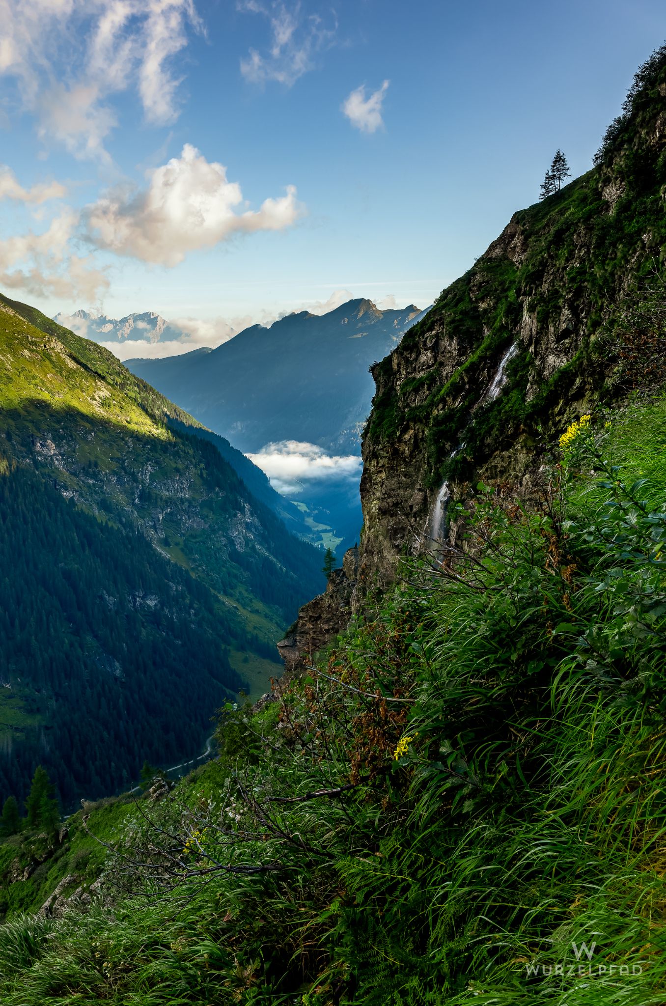Auf dem Weg zum Greifenberg